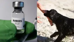 రేబిస్ వ్యాక్సిన్ సేఫేనా? పాప మృతితో మొదలైన చర్చ