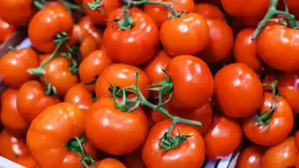 Anantapur Tomato Prices