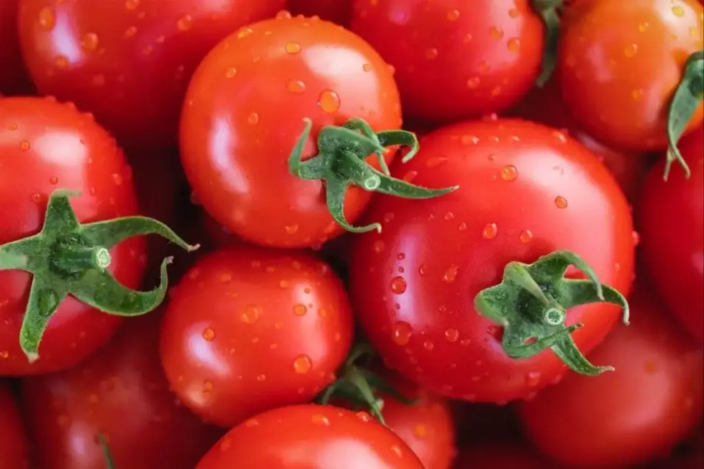 Tomato Rate: టమోటా ధరలు ఫుల్ జోష్.. కిలో రూ.46 వరకు రేటు