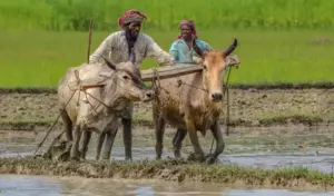 యాసంగికి సన్నద్ధమవుతున్న రైతన్న