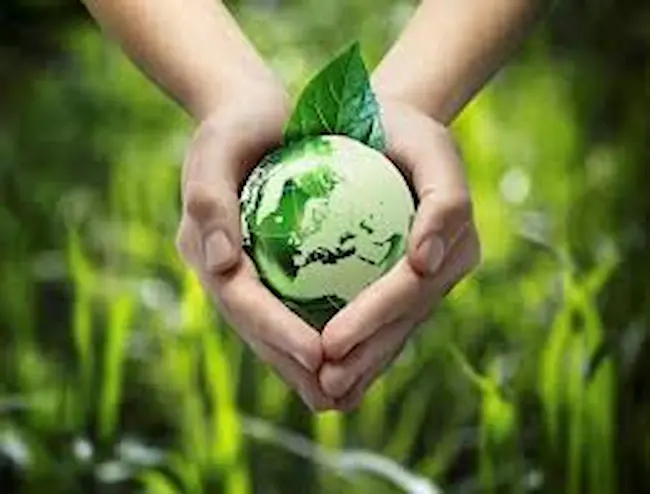 Environmental protection: పర్యావరణ పరిరక్షణ ఎన్నికల ప్రచారాస్త్రం కావాలి