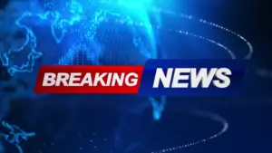 పిటిషన్లపై హైకోర్టు నిర్ణయం