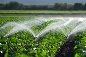 TG Irrigation