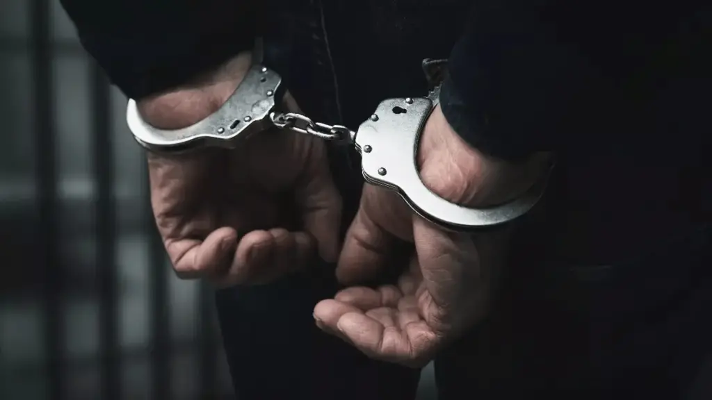 America: కాల్పులు, ఉగ్రవాద బెదిరింపుల కేసులో భారత విద్యార్థి అరెస్టు