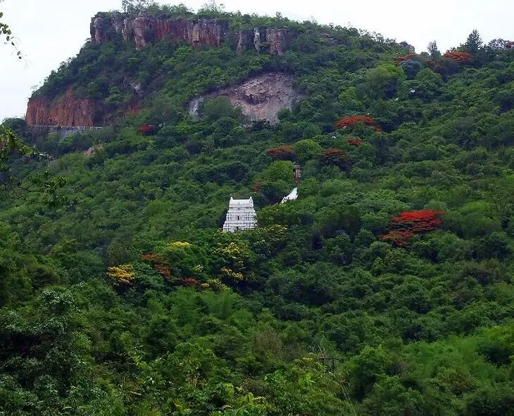 దేశంలో తొలిసారి 100 ఎకరాల్లో ‘దివ్య వృక్షాల’ ప్రాజెక్టు