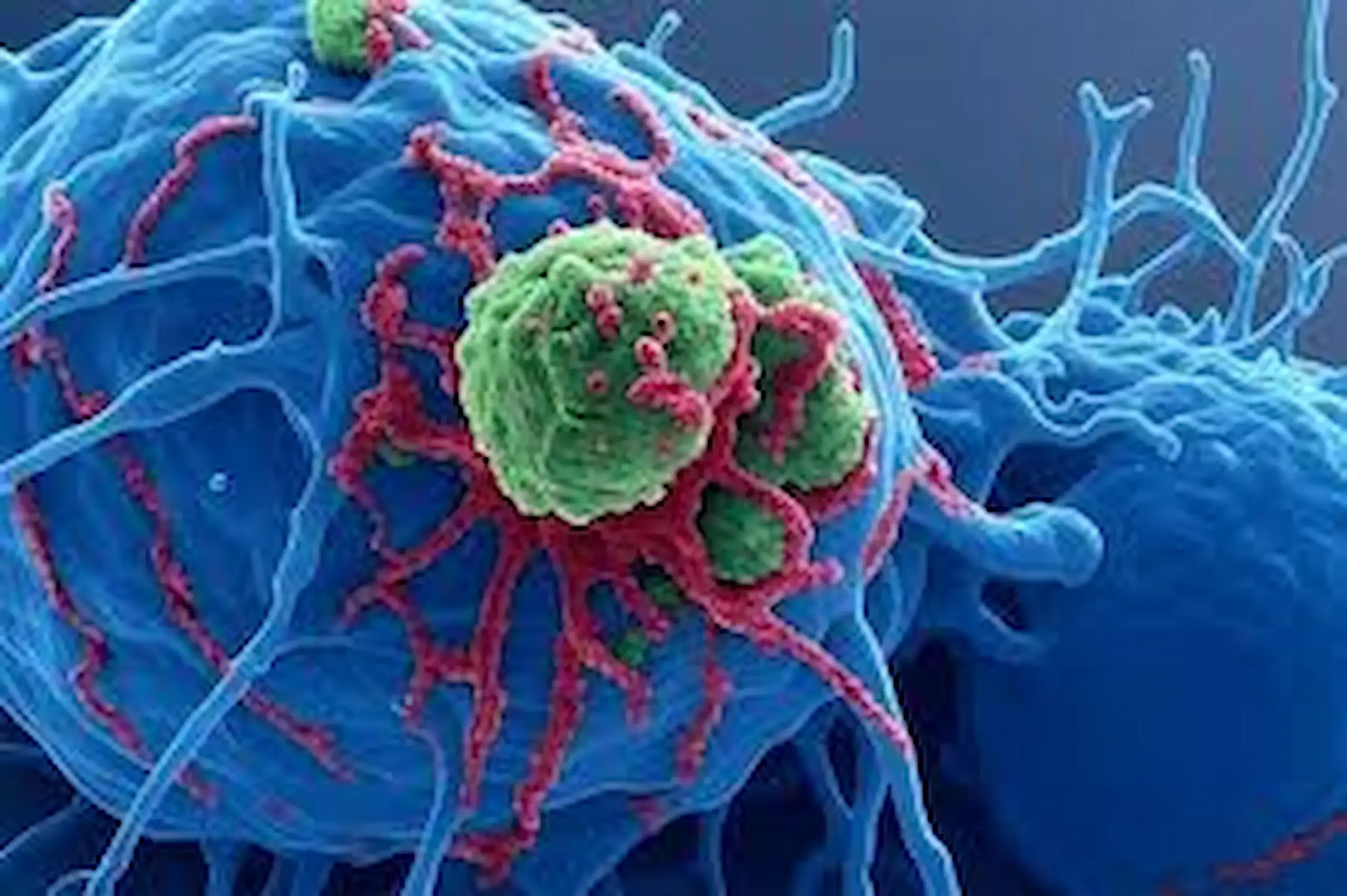 Disease: అల్జీమర్స్, క్యాన్సర్ వ్యాధుల చికిత్సలో శాస్త్రవేత్తల కీలక పరిశోధన