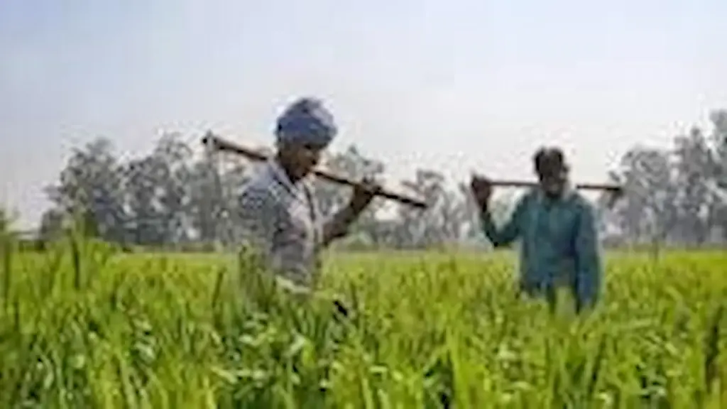 రైతు సంక్షేమమే ప్రధాన లక్ష్యం: సాకే వినయ్