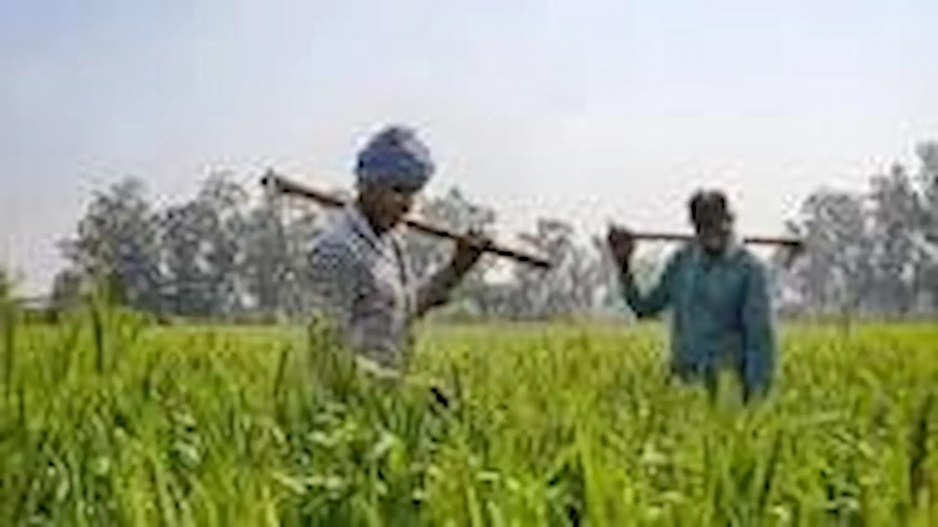 రైతు సంక్షేమమే ప్రధాన లక్ష్యం: సాకే వినయ్