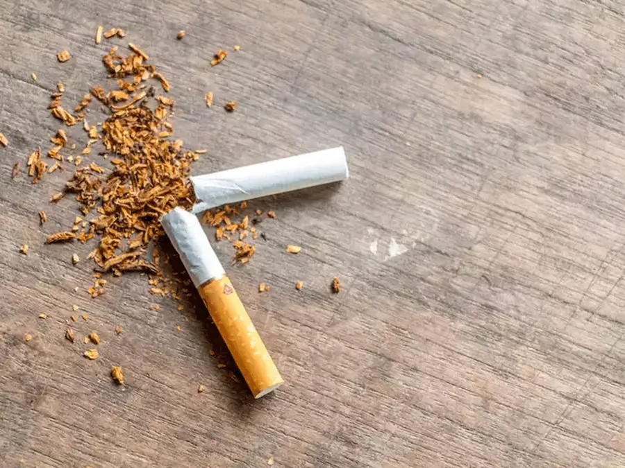 Tobacco: పెరుగునున్న పొగాకు ధరలు?