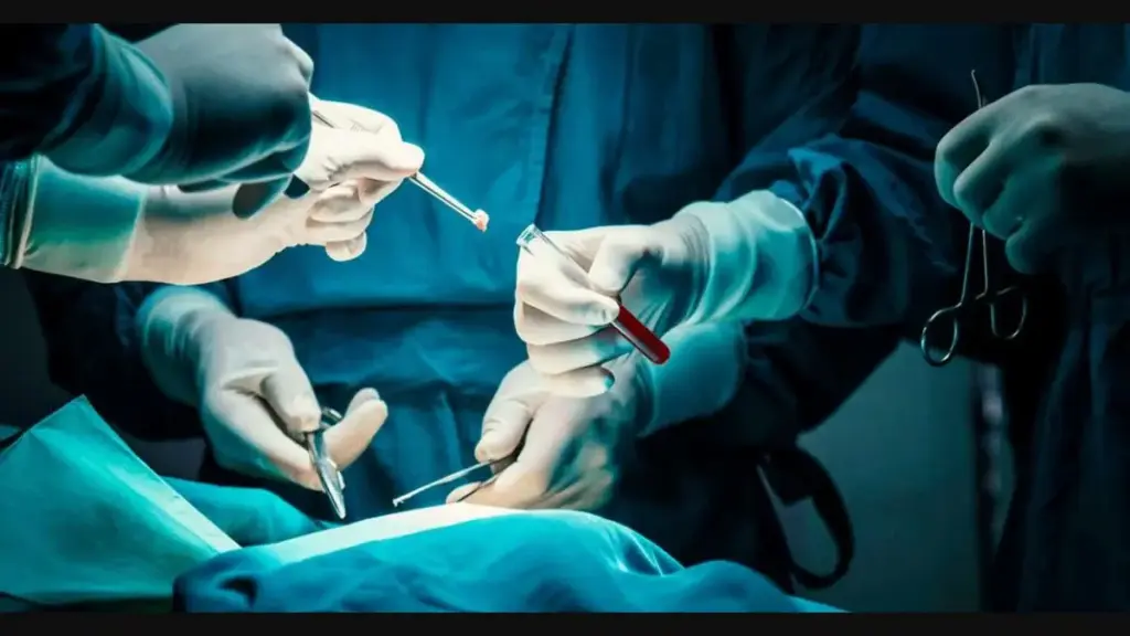 Kerala: రోడ్డుపైనే సర్జరీ! ఆసుపత్రికి చేరకముందే ప్రాణం కాపాడిన వైద్యులు