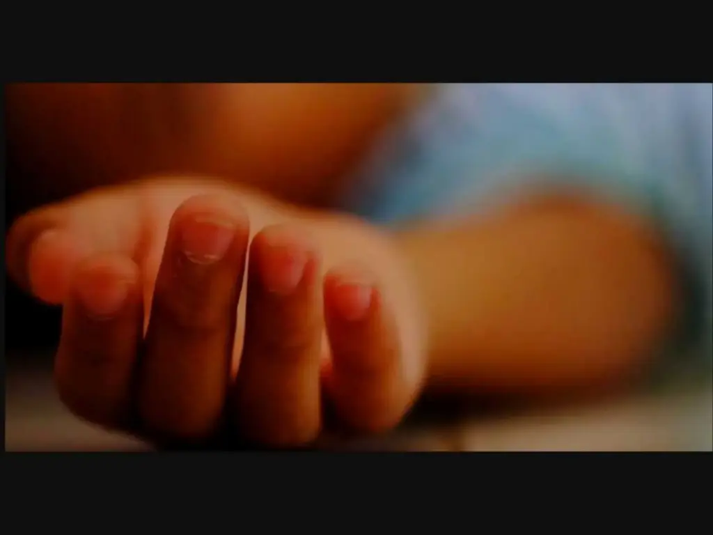 Breaking News: AP Crime: దోమల చక్రం వల్ల బాలుడు మృతి