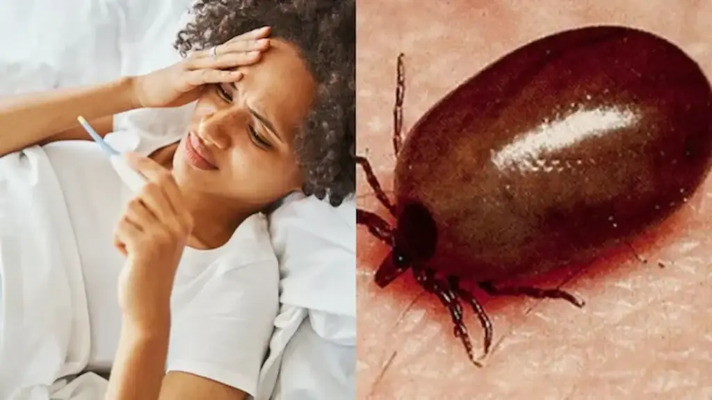 New fevers that are causing concern!