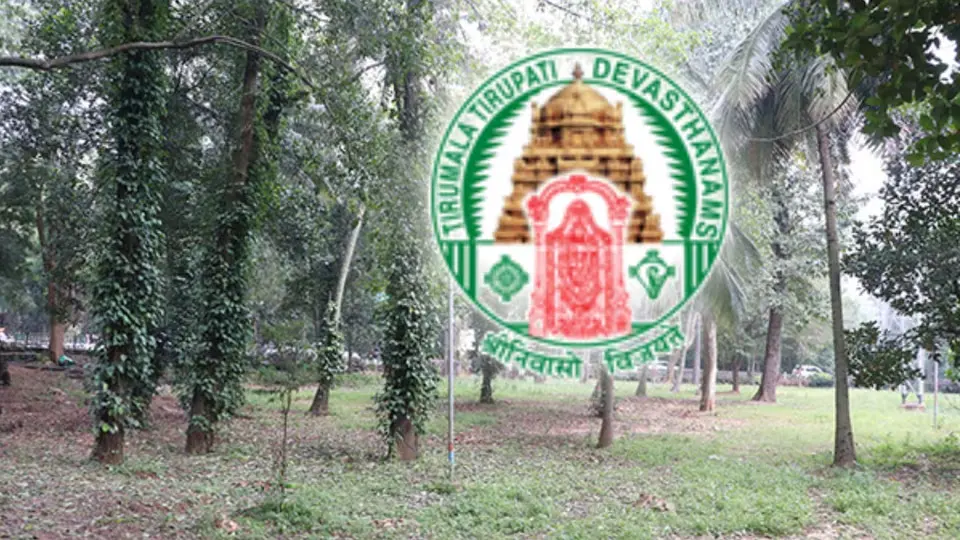 TTD: శేషాచలంకొండలకు జీవనాడి ‘దివ్యఔషధ వనం’ 3.90 ఎకరాల్లో ఏర్పాటు..