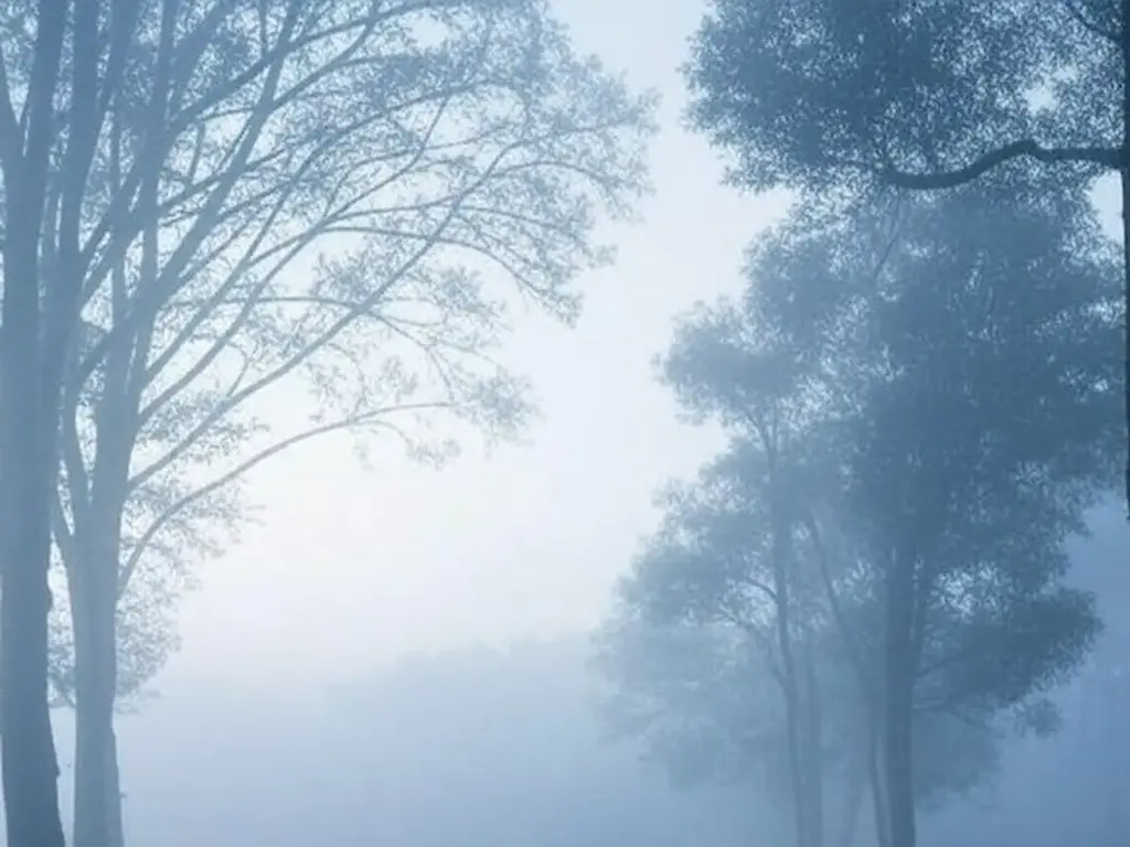 Latest News: Weather: ఈ ఏడాది చలి తీవ్రత ఎక్కువే: IMD