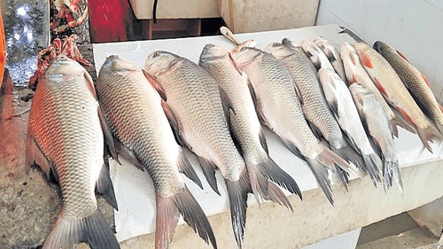 Chicken prices have increased