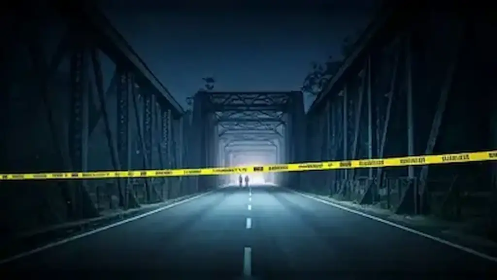 Thane Crime: Mother-in-law kills daughter-in-law for a job