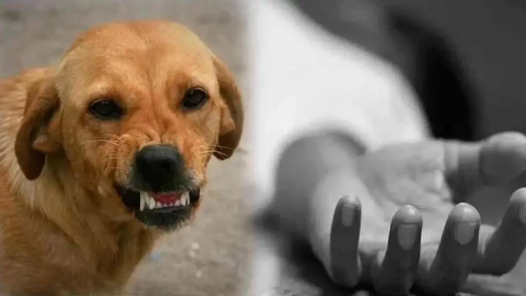 Breaking News: Anakapalli: రేబిస్ వలన పన్నెండేళ్ల బాలుడు మృతి