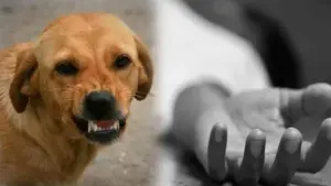 రేబిస్ వలన పన్నెండేళ్ల బాలుడు మృతి