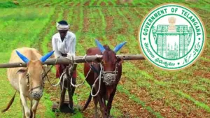 రైతుభరోసా డబ్బుల కోసం రైతుల ఎదురుచూపులు