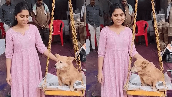 Medaram: జాతరలో తమ పెంపుడు కుక్కతో బెల్లం తూకం