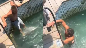 షార్క్‌ల మధ్య దూకిన వ్యక్తి.. ఎందుకో తెలుసా?