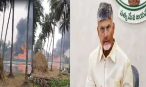 ఐదో రోజునా ఆరని మంటలు
