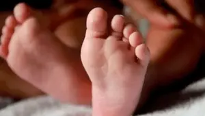 కారులోకి దూకిన జంతువు.. నాలుగేళ్ళ చిన్నారి మృతి