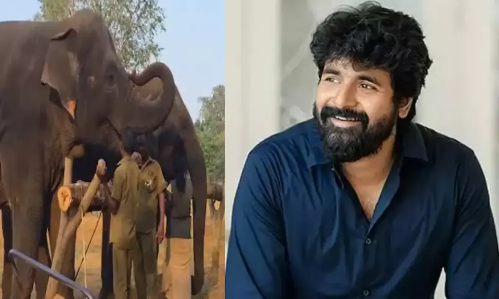 Siva Karthikeyan: ఏనుగును దత్తత తీసుకున్న నటుడు