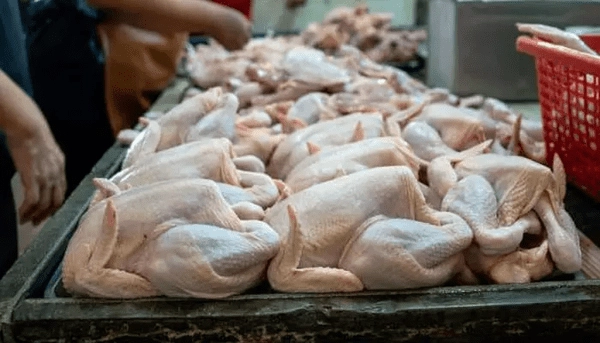 AP: పెరిగిన చికెన్ రేట్లు.. చేపలు, రొయ్యలకు డిమాండ్