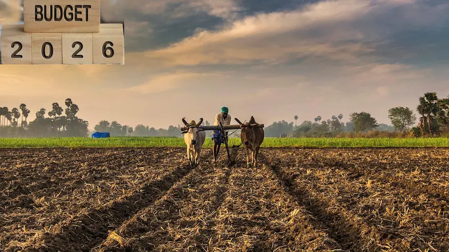 Budget 2026: బడ్జెట్‌లో రైతులకు ప్రాధాన్యం ఎక్కువ ఇవ్వనున్నారా?