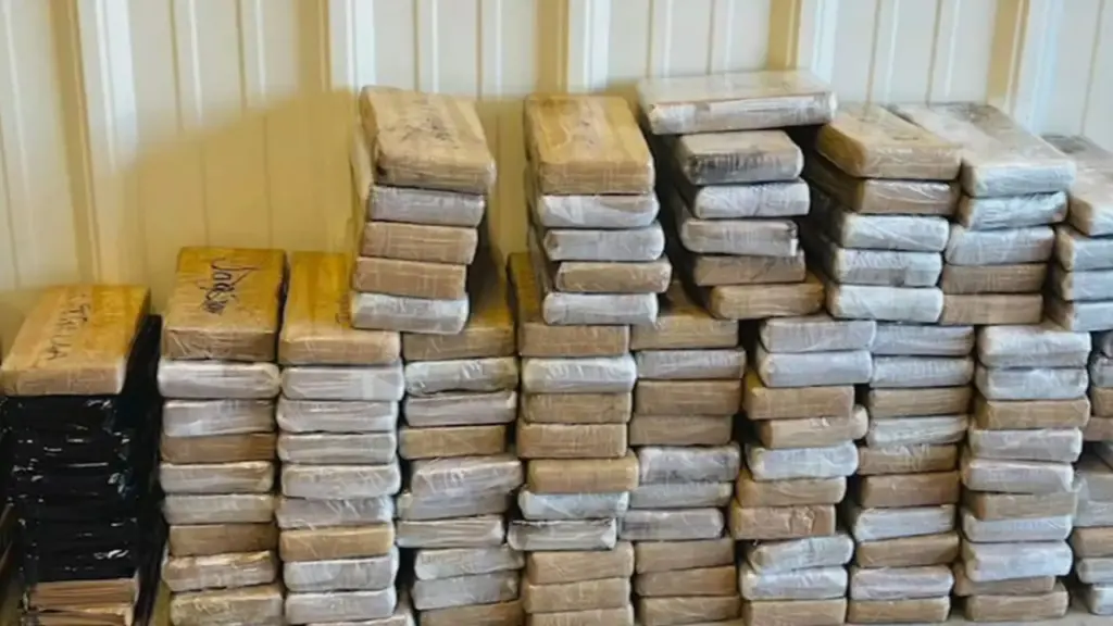 Massive cocaine trafficking