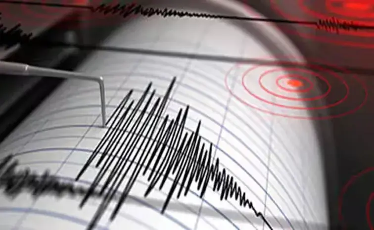 Mexico earthquake : మెక్సికోలో భారీ భూకంపం , రిక్టర్ స్కేల్‌పై 6.3 తీవ్రత, ప్రజల్లో భయాందోళన