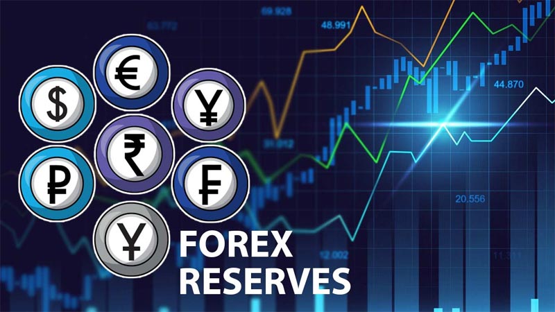 Foreign Exchange Reserves : దేశంలో రికార్డు స్థాయికి విదేశీ మారకపు నిల్వలు!