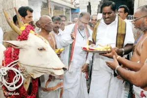 తిరుమలలో గోపూజ మహోత్సవం.. ఒక్క రోజే అవకాశం..!