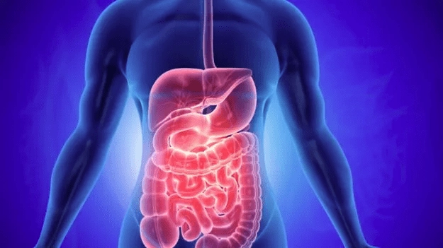 Consume these to keep your intestines healthy