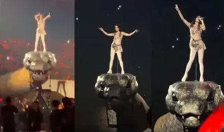 Viral Video: అనకొండ తలపై పాడిన పాట.. వీడియో వైరల్