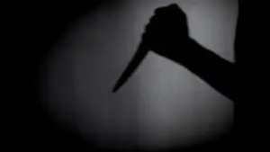 ఆస్తి వివాదం.. పెద్దమ్మను చంపిన మరిది కొడుకు