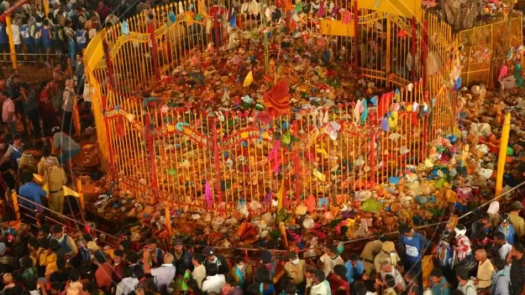 TG: మేడారం జాతరకు వైద్య భద్రత.. 30 మెడికల్ క్యాంపుల ఏర్పాటు