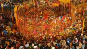 మేడారం జాతరకు వైద్య భద్రత.. 30 మెడికల్ క్యాంపుల ఏర్పాటు