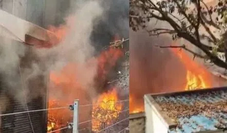 Ex-gratia for the families of the deceased