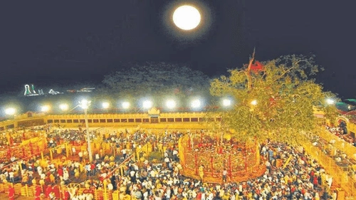 Sammakka Saralamma: కోట్లాది భక్తుల విశ్వాసం.. మేడారం జాతర వెనుక ఉన్న కథ