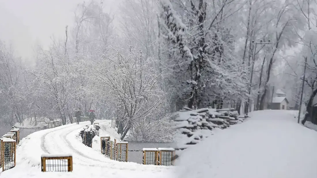 చిగురుటాకులా వణికిపోతున్న అమెరికా..15 రాష్ట్రాల్లో ఎమర్జెన్సీ