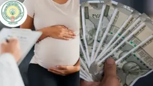 గర్భిణీ మహిళలకు రూ.6 వేల ఆర్థిక సహాయం