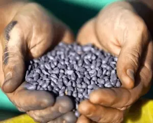 నకిలీ విత్తనాలపై రైతుల పోరాటం..