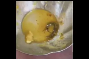 సాంబారులో జెర్రీ కలకలం.. హోటల్ సిబ్బంది నిర్లక్ష్యం