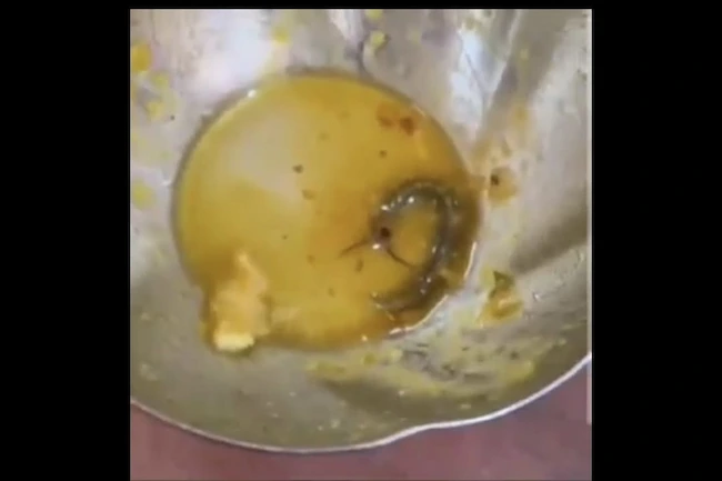 Nalgonda: సాంబారులో జెర్రీ కలకలం.. హోటల్ సిబ్బంది నిర్లక్ష్యం