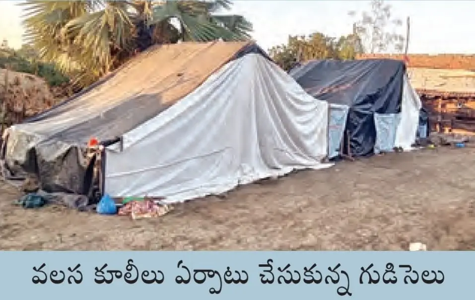 Adilabad: వలస కూలీలు ఏర్పాటు చేసుకున్న గుడిసెలు
