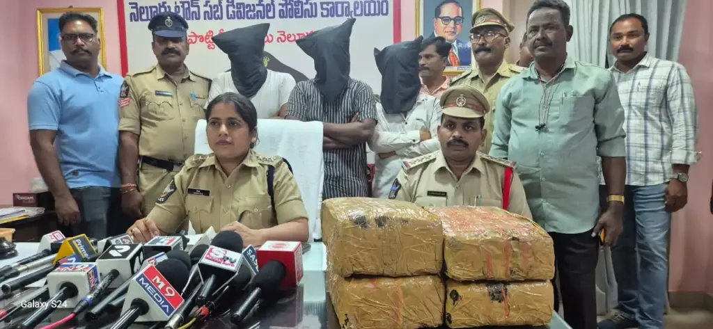 Drug Bust Nellore: గంజాయి విక్రయ ముఠా అరెస్ట్
