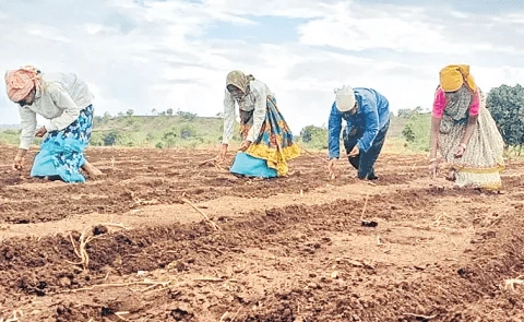 Farmers' protest against fake seeds.