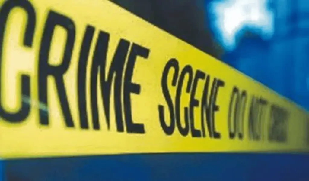 Haryana Crime: లండన్ నుంచి వచ్చి తల్లిని చంపిన కొడుకు.. ఎందుకంటే?